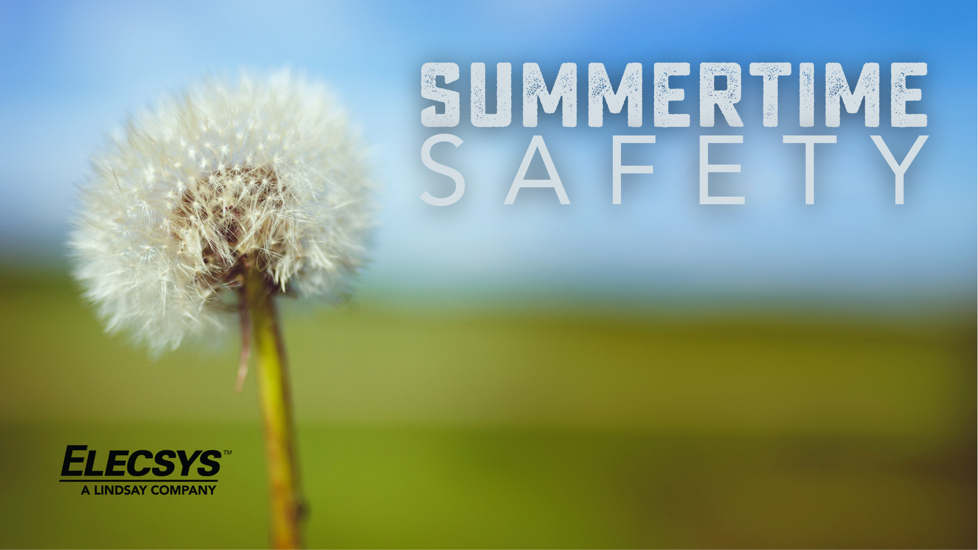 Summertime Safety